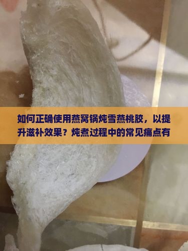 如何正确使用燕窝锅炖雪燕桃胶，以提升滋补效果？炖煮过程中的常见痛点有哪些解决方法？