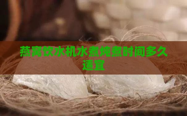 燕窝饮水机水煮炖煮时间多久适宜