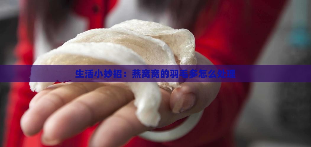 生活小妙招：燕窝窝的羽毛多怎么处理