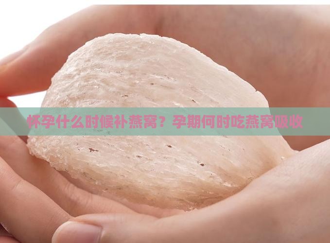怀孕什么时候补燕窝？孕期何时吃燕窝吸收