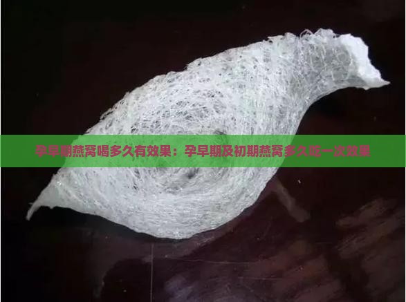 孕早期燕窝喝多久有效果：孕早期及初期燕窝多久吃一次效果