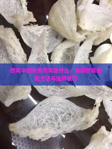 燕窝中的余舍燕窝是什么：真假燕窝鉴别方法与选购技巧