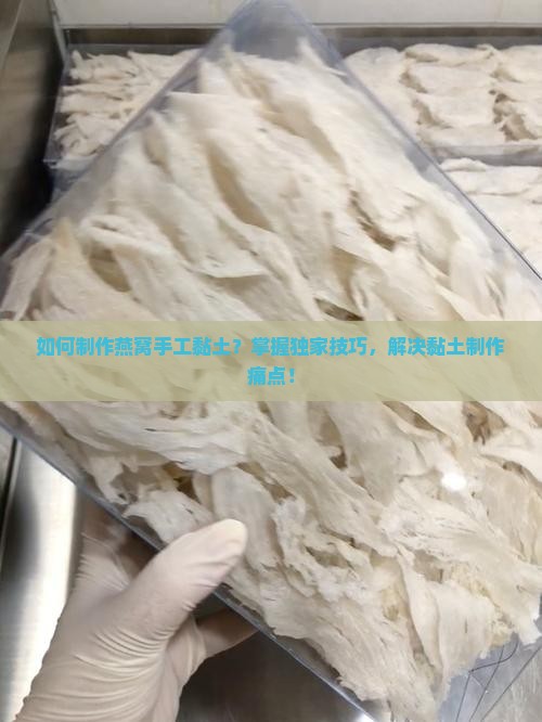 如何制作燕窝手工黏土？掌握独家技巧，解决黏土制作痛点！