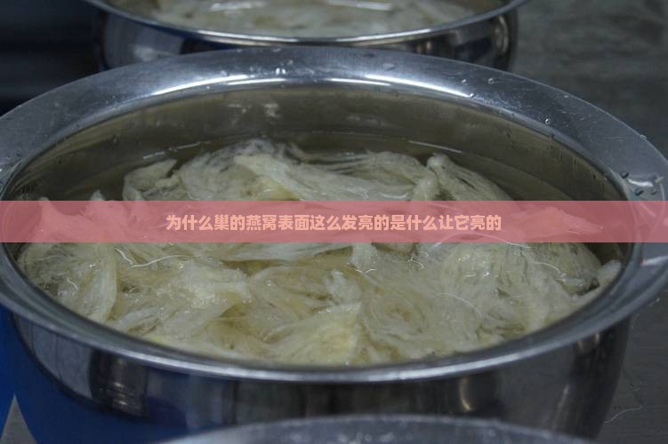 为什么巢的燕窝表面这么发亮的是什么让它亮的