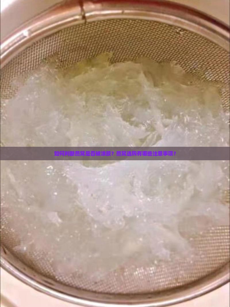 如何判断燕窝是否被涂胶？燕窝选购有哪些注意事项？