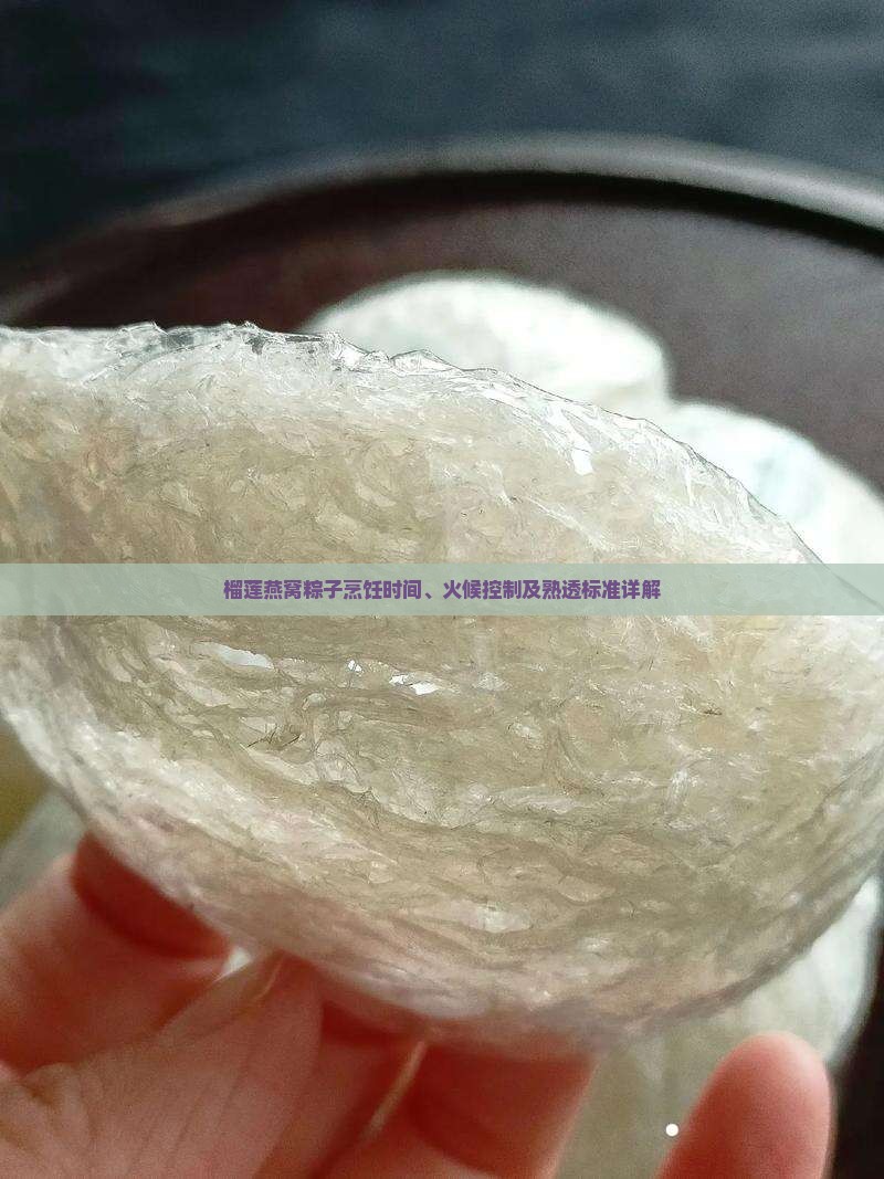 榴莲燕窝粽子烹饪时间、火候控制及熟透标准详解