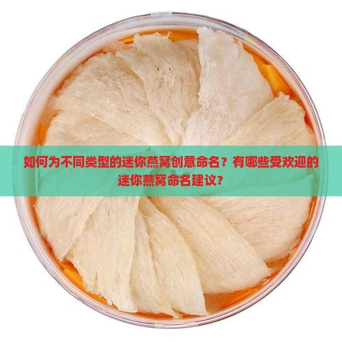 如何为不同类型的迷你燕窝创意命名？有哪些受欢迎的迷你燕窝命名建议？