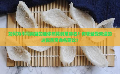 如何为不同类型的迷你燕窝创意命名？有哪些受欢迎的迷你燕窝命名建议？