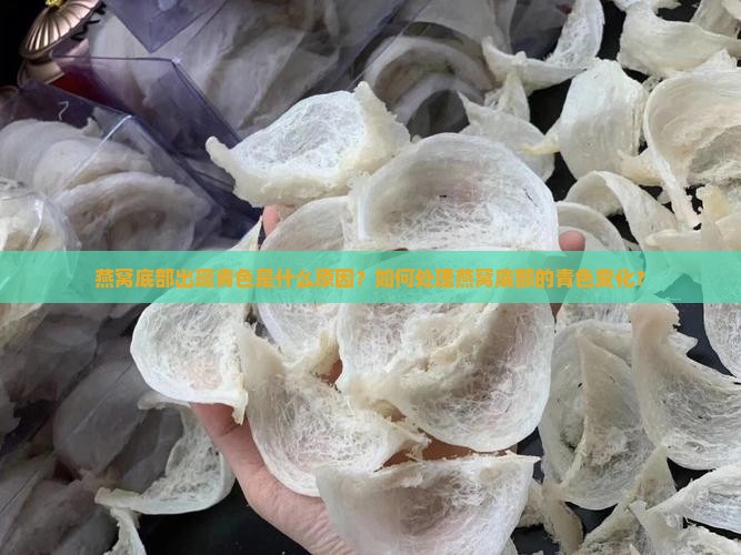 燕窝底部出现青色是什么原因？如何处理燕窝底部的青色变化？