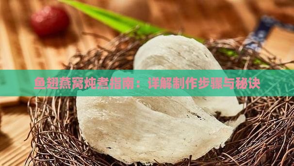 鱼翅燕窝炖煮指南：详解制作步骤与秘诀