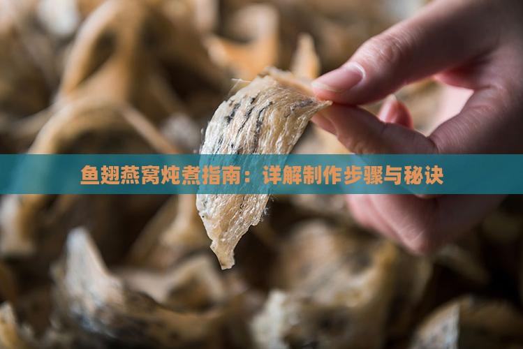 鱼翅燕窝炖煮指南：详解制作步骤与秘诀