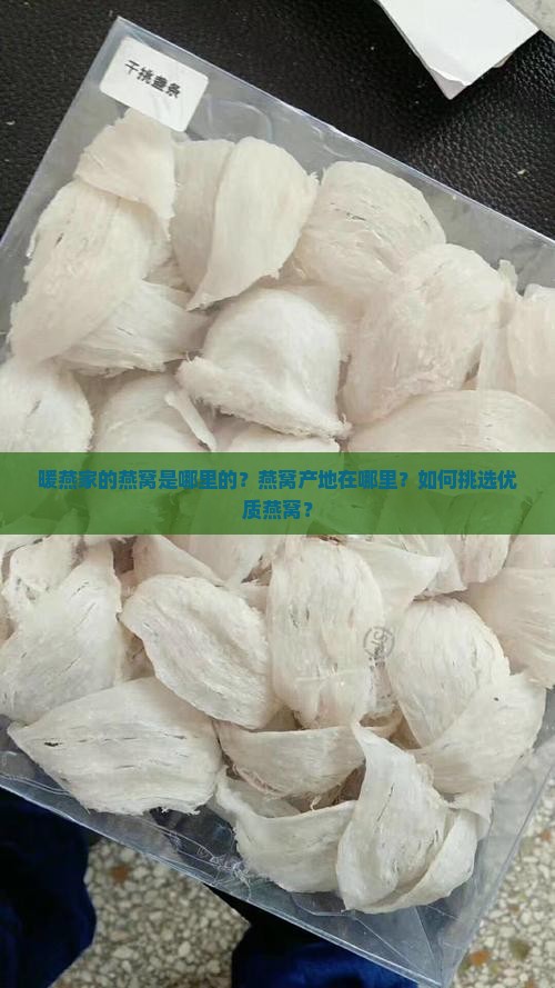 暖燕家的燕窝是哪里的？燕窝产地在哪里？如何挑选优质燕窝？
