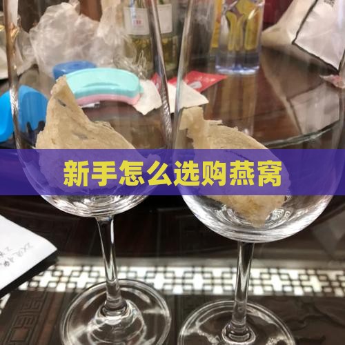 新手怎么选购燕窝