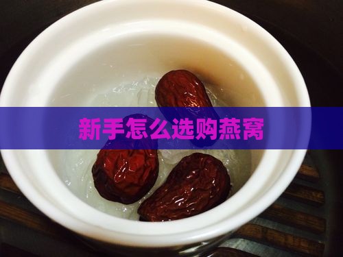 新手怎么选购燕窝