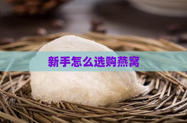 新手怎么选购燕窝