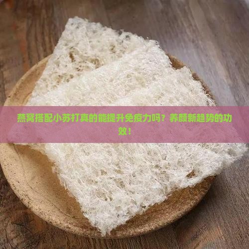 燕窝搭配小苏打真的能提升免疫力吗？养颜新趋势的功效！