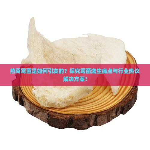 燕窝霉菌是如何引发的？探究霉菌滋生痛点与行业热议解决方案！
