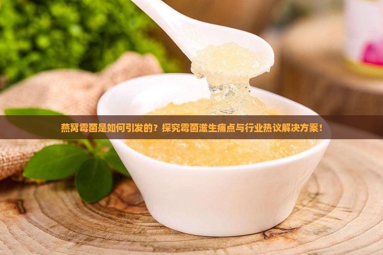 燕窝霉菌是如何引发的？探究霉菌滋生痛点与行业热议解决方案！