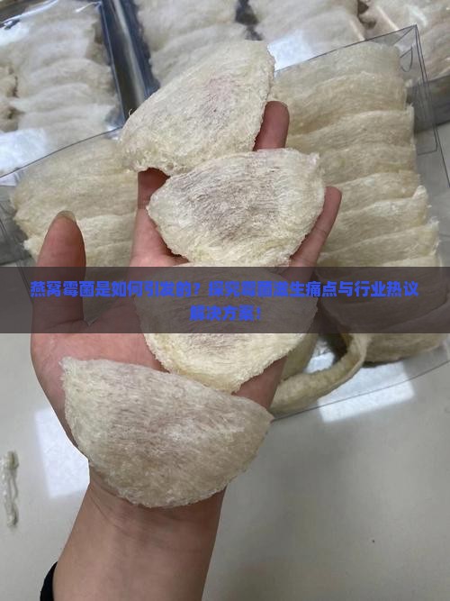 燕窝霉菌是如何引发的？探究霉菌滋生痛点与行业热议解决方案！