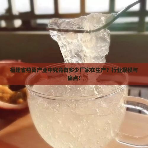 福建省燕窝产业中究竟有多少厂家在生产？行业规模与痛点！