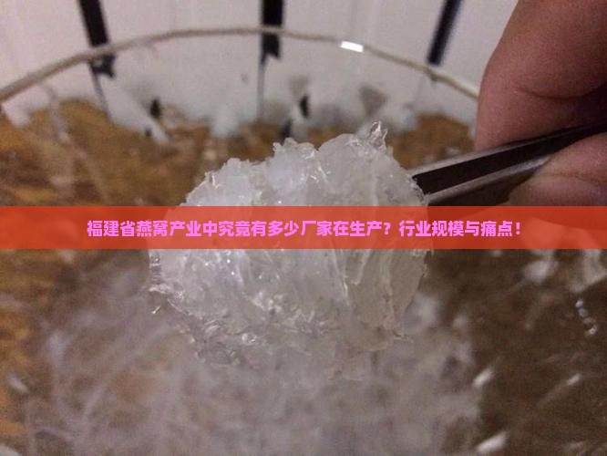 福建省燕窝产业中究竟有多少厂家在生产？行业规模与痛点！