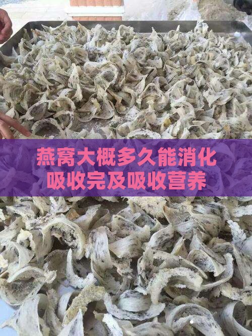 燕窝大概多久能消化吸收完及吸收营养