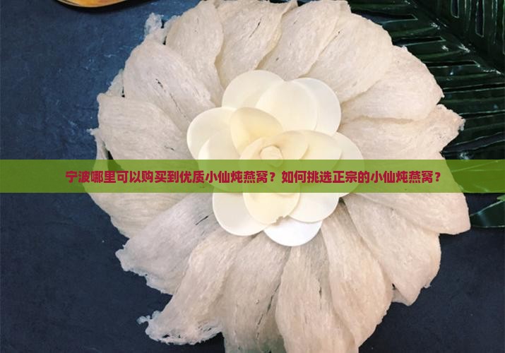 宁波哪里可以购买到优质小仙炖燕窝？如何挑选正宗的小仙炖燕窝？