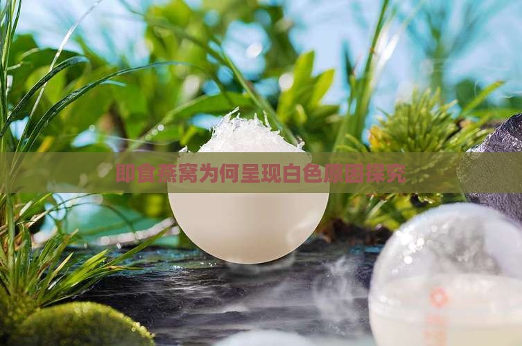 即食燕窝为何呈现白色原因探究