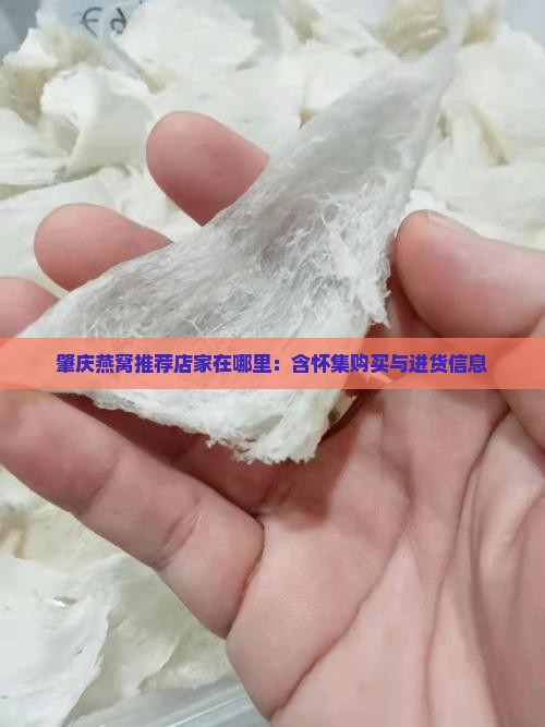 肇庆燕窝推荐店家在哪里:含怀集购买与进货信息 肇庆燕窝推荐店家在哪里:含怀集购买与进货信息