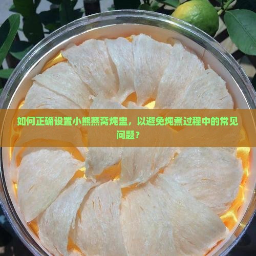 如何正确设置小熊燕窝炖盅，以避免炖煮过程中的常见问题？