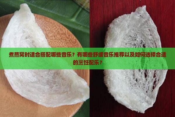 煮燕窝时适合搭配哪些音乐？有哪些舒缓音乐推荐以及如何选择合适的烹饪配乐？