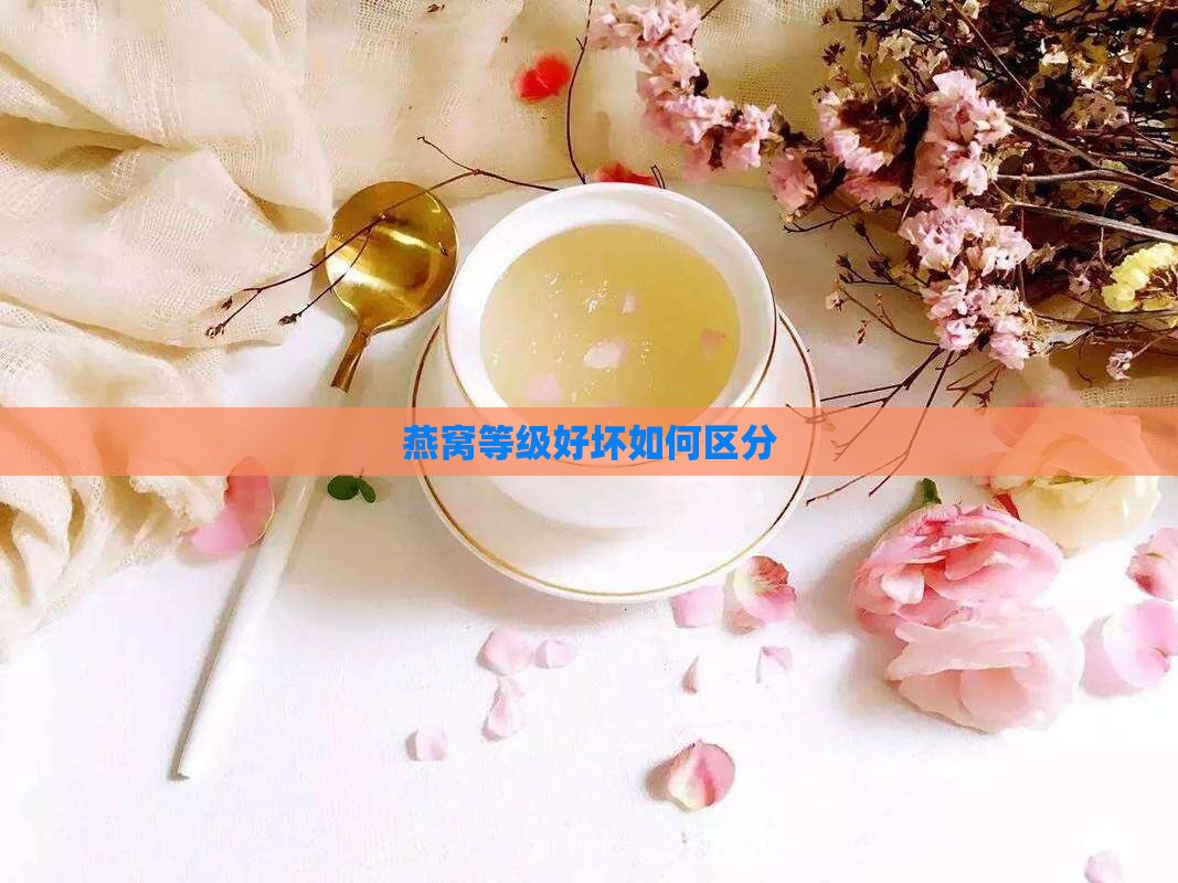 燕窝等级好坏如何区分