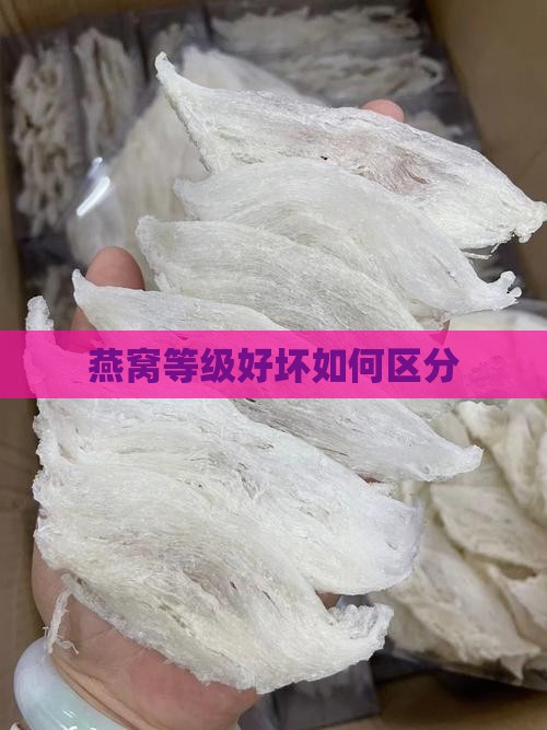 燕窝等级好坏如何区分