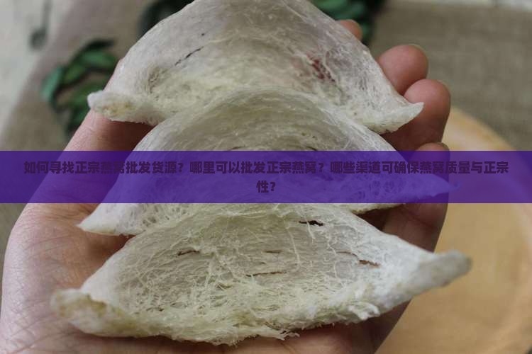 如何寻找正宗燕窝批发货源？哪里可以批发正宗燕窝？哪些渠道可确保燕窝质量与正宗性？