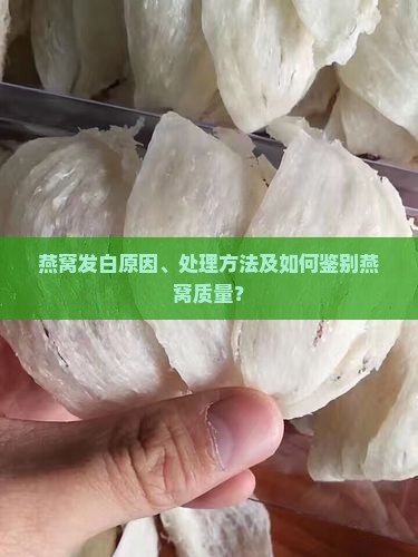 燕窝发白原因、处理方法及如何鉴别燕窝质量？