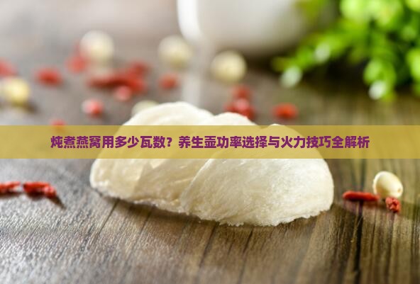 炖煮燕窝用多少瓦数？养生壶功率选择与火力技巧全解析