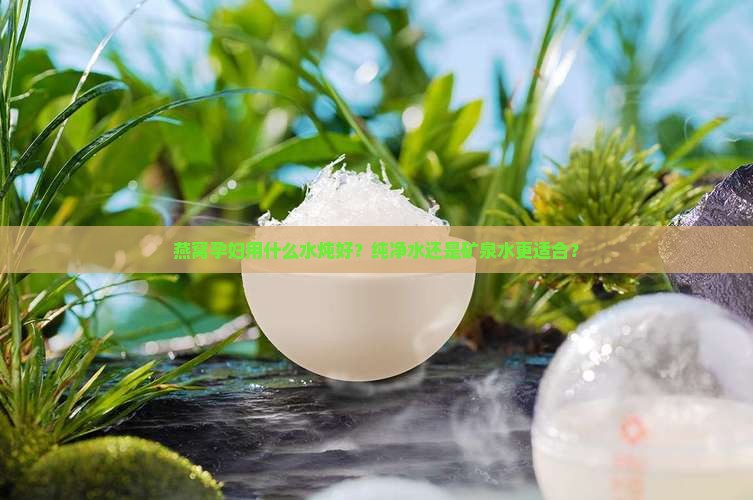 燕窝孕妇用什么水炖好？纯净水还是矿泉水更适合？