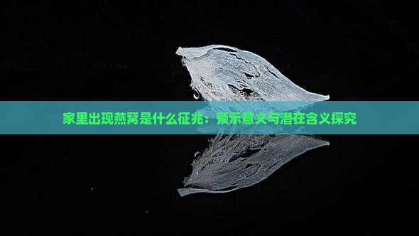 家里出现燕窝是什么征兆：预示意义与潜在含义探究