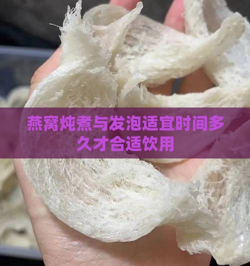 燕窝炖煮与发泡适宜时间多久才合适饮用