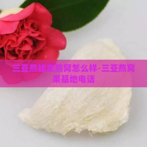 三亚燕姐卖燕窝怎么样-三亚燕窝果基地电话