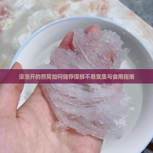 没泡开的燕窝如何储存保鲜不易变质与食用指南