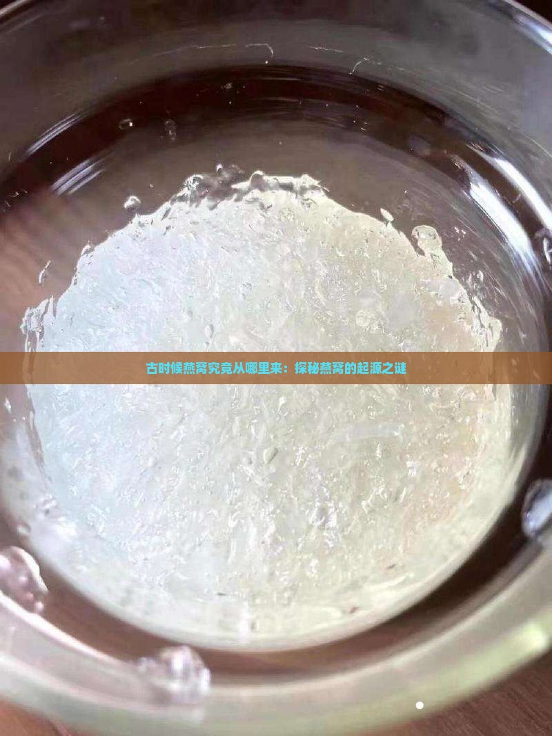 古时候燕窝究竟从哪里来：探秘燕窝的起源之谜