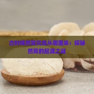 古时候燕窝究竟从哪里来：探秘燕窝的起源之谜