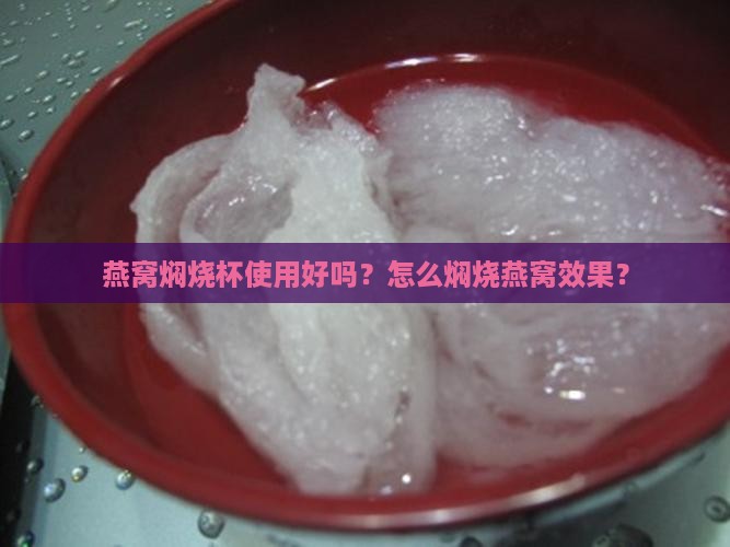 燕窝焖烧杯使用好吗？怎么焖烧燕窝效果？