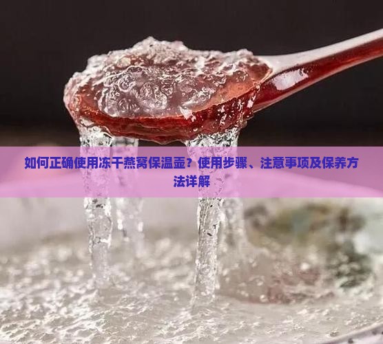 如何正确使用冻干燕窝保温壶？使用步骤、注意事项及保养方法详解