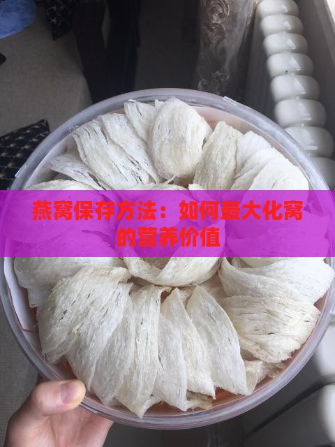 燕窝保存方法：如何最大化窝的营养价值