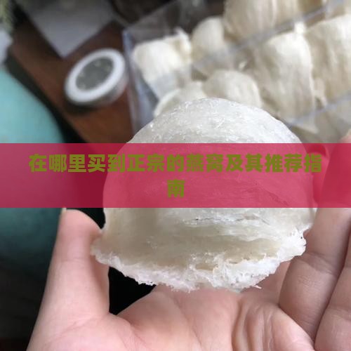 在哪里买到正宗的燕窝及其推荐指南