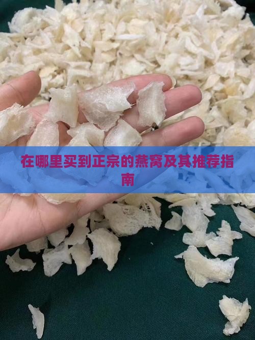 在哪里买到正宗的燕窝及其推荐指南