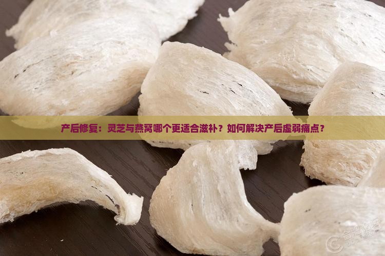 产后修复：灵芝与燕窝哪个更适合滋补？如何解决产后虚弱痛点？