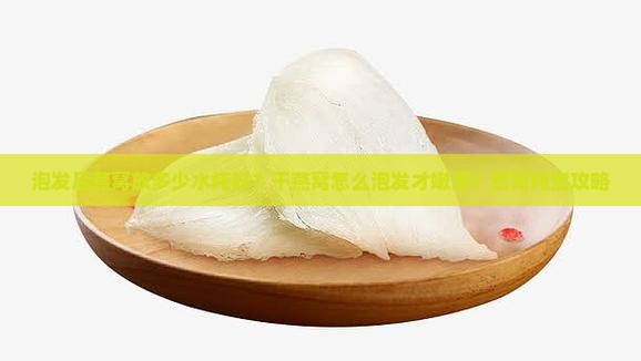 泡发后燕窝放多少水炖好？干燕窝怎么泡发才嫩滑？燕窝炖煮攻略